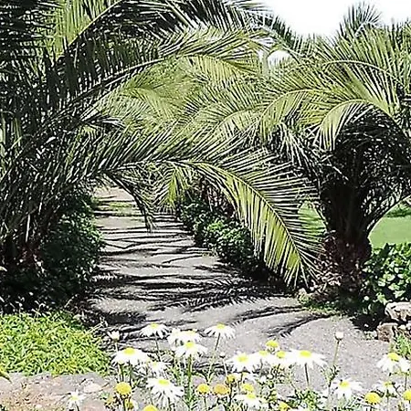 فيلة Casa Bencomo *